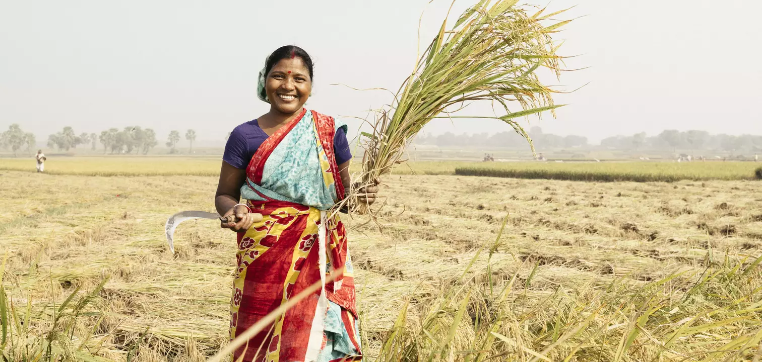 Unser Weihnachtskollekten Projekt 2023: Bangladesch 'Eine Handvoll Reis schützt vor Hunger'. Bild: Aus der Fotoserie von Brot für die Welt.