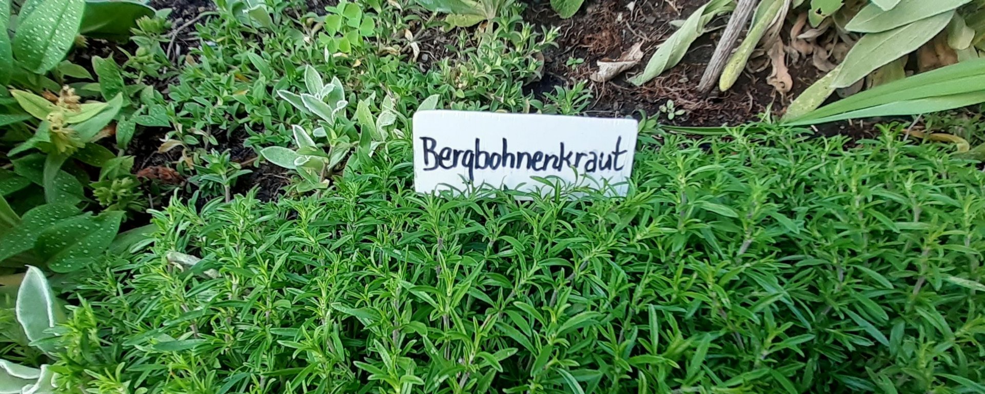 Bilder vom 25. Mai 2022 :: jh