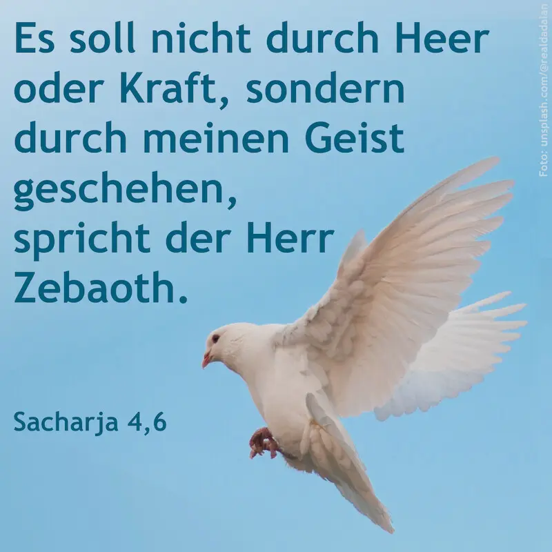 (35) Pfingsten (Sach 4,6) 1