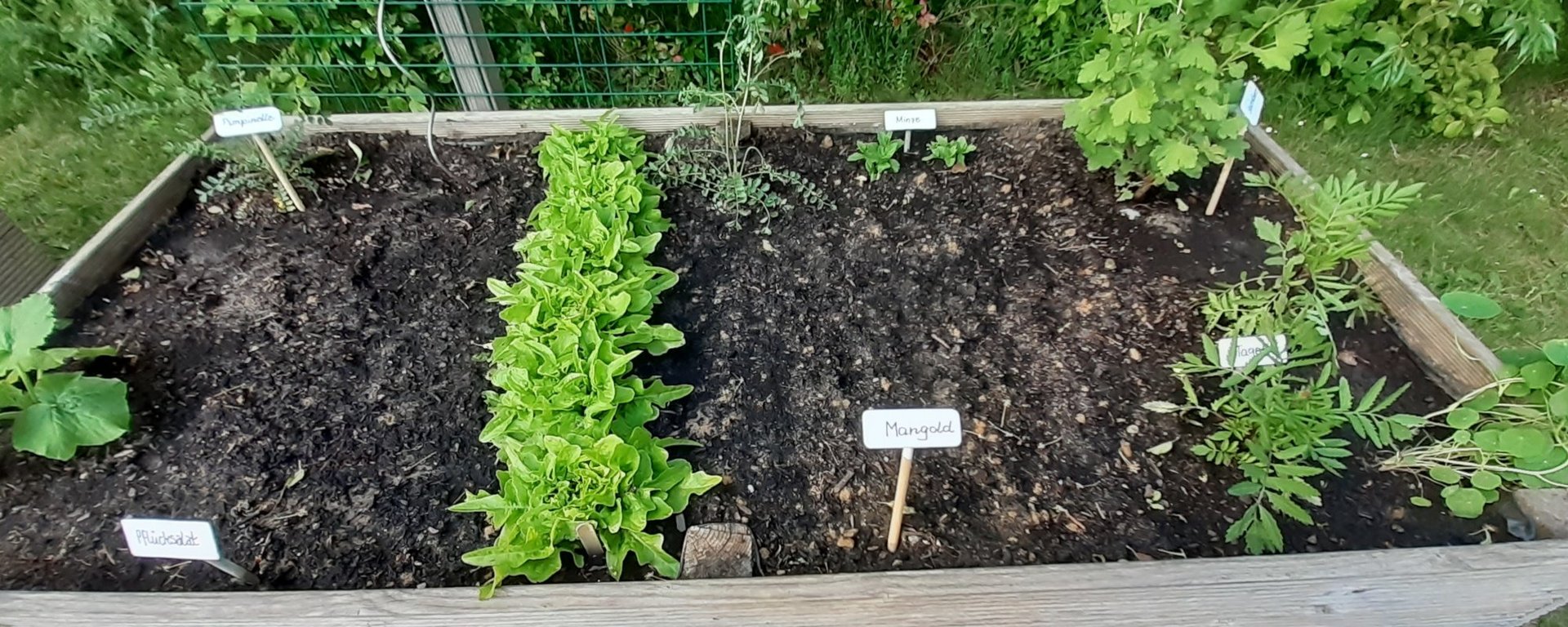 Bilder vom 25. Mai 2022 :: jh