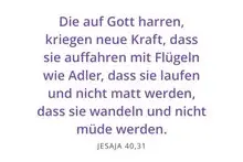 Bibelvers zum Einführungsgottesdienst: Jesaja 40,31