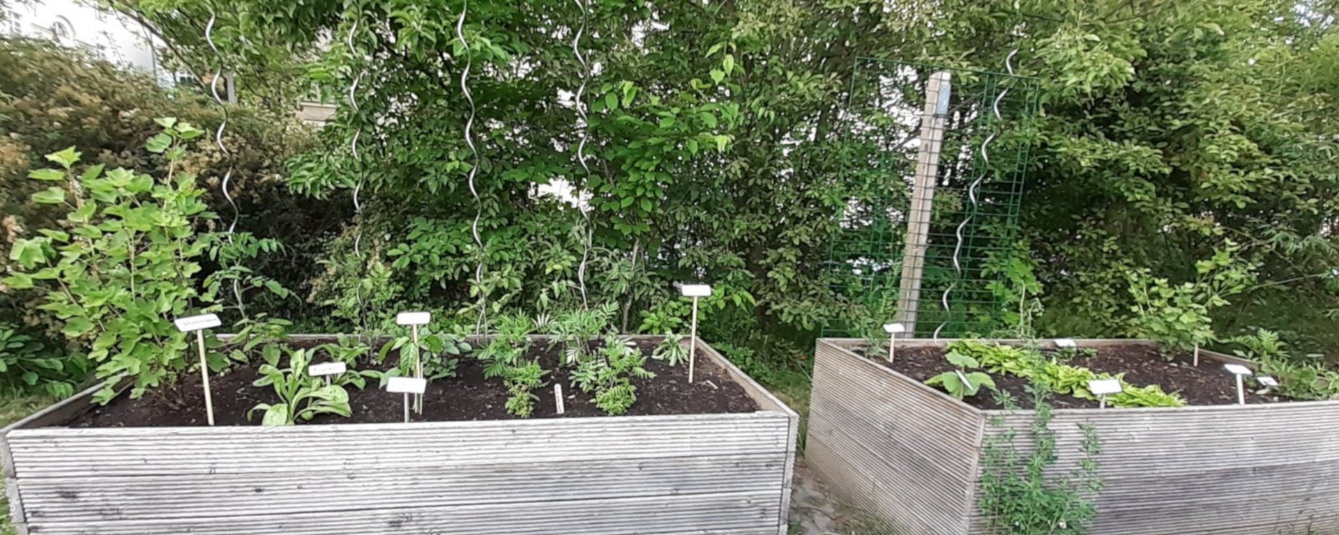 Bilder vom 25. Mai 2022 :: jh