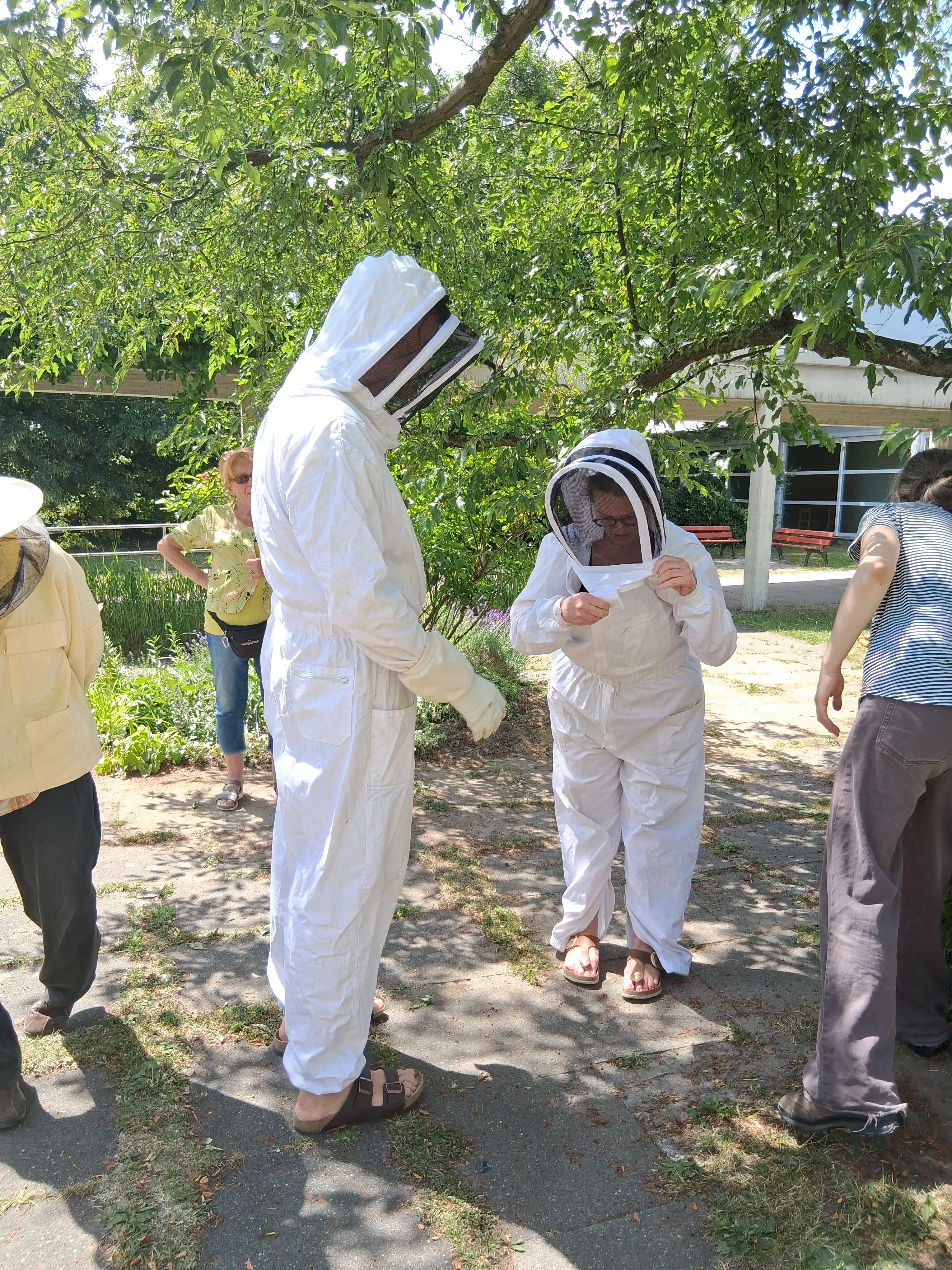 Interessierte der Führung werden sich gleich am Bienenhaus dem Bienenvolk nähern.