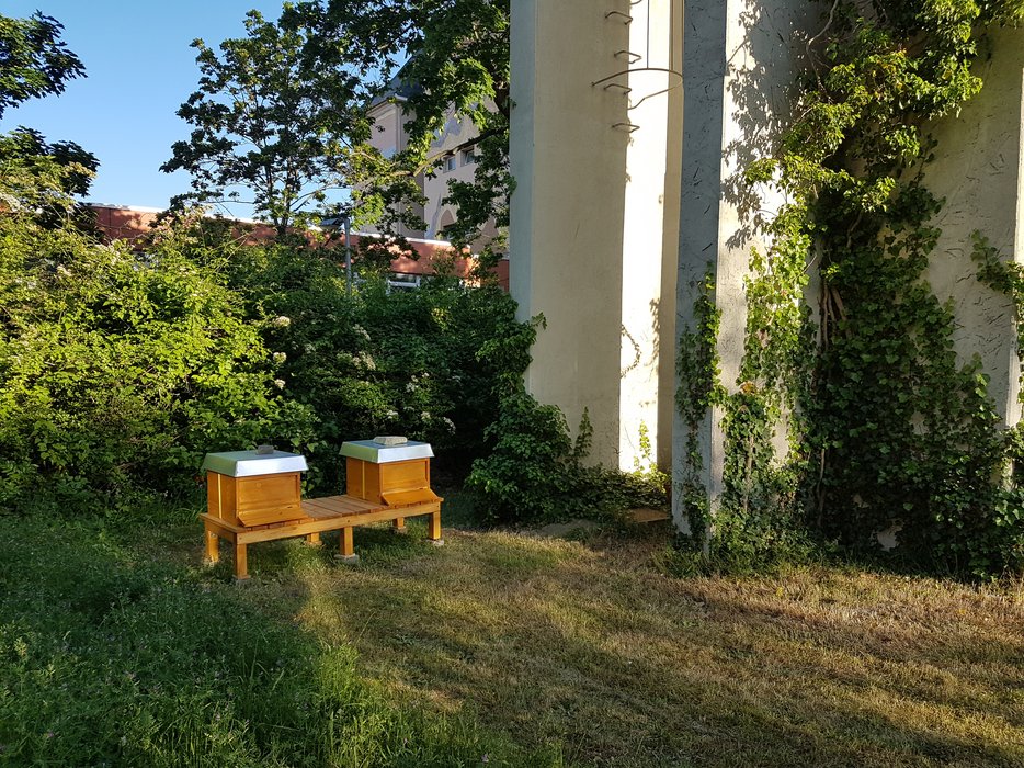 Bienenhäuser im Patmosgarten.