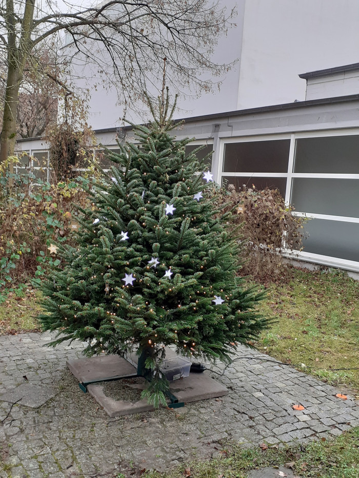 Unser Weihnachtsbaum vor der Tür mit den Fürbittsternen aus dem Gottesdienst zum 4. Advent 2021 (jh)