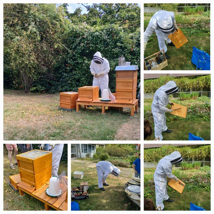 Bereitmachen fürs Bienenvolk