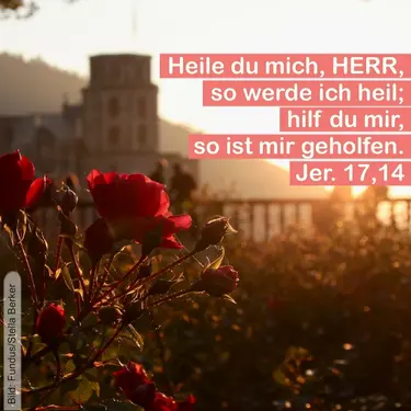 Wochenspruch © Stella Berker/Fundus