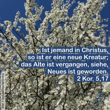 Wochenspruch FUNDUS/Stephan Krebs
