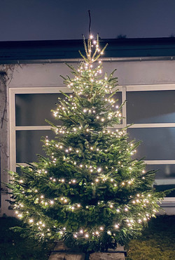 Unser Weihnachtsbaum vor der Tür mit Fürbitt- und Segenssternen.