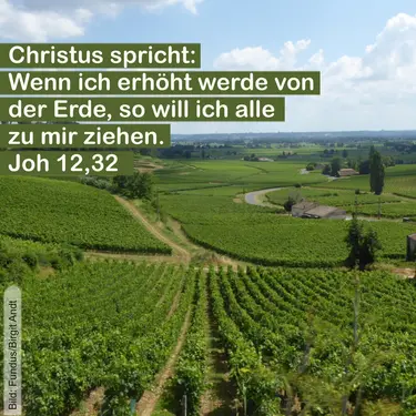 Bild zur Losung zu Christi Himmelfahrt Birgit Arndt/Fundus