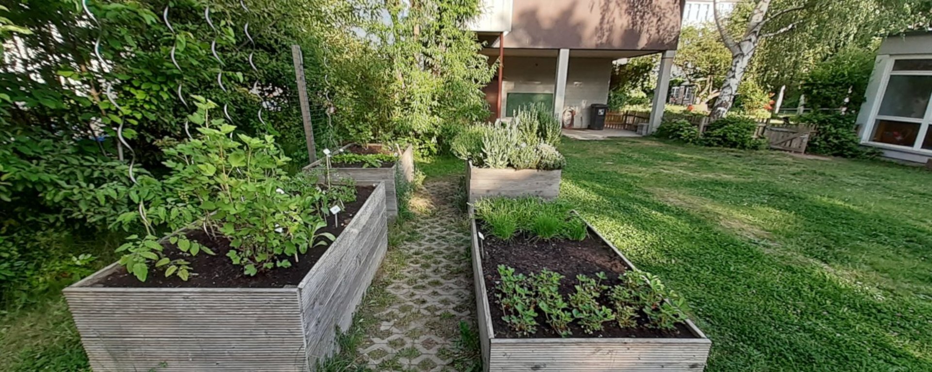 Bilder vom 25. Mai 2022 :: jh