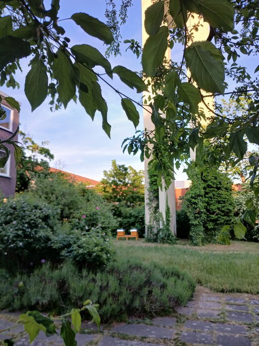 Weiter Blick zu den Bienenhäusern.