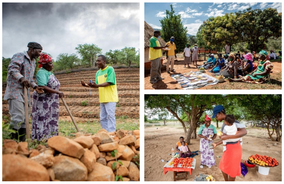TSURO unterstützt Kleinbauernfamilien in der Region bei der nachhaltigen Landwirtschaft und der Anpassung an den Klimawan­del. 