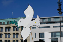 Symbolbild Friedenstaube Bild: Katharina Pfuhl Fundus