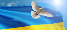 Symbolbild Frieden für die Ukraine. Bild: geralt pixabay